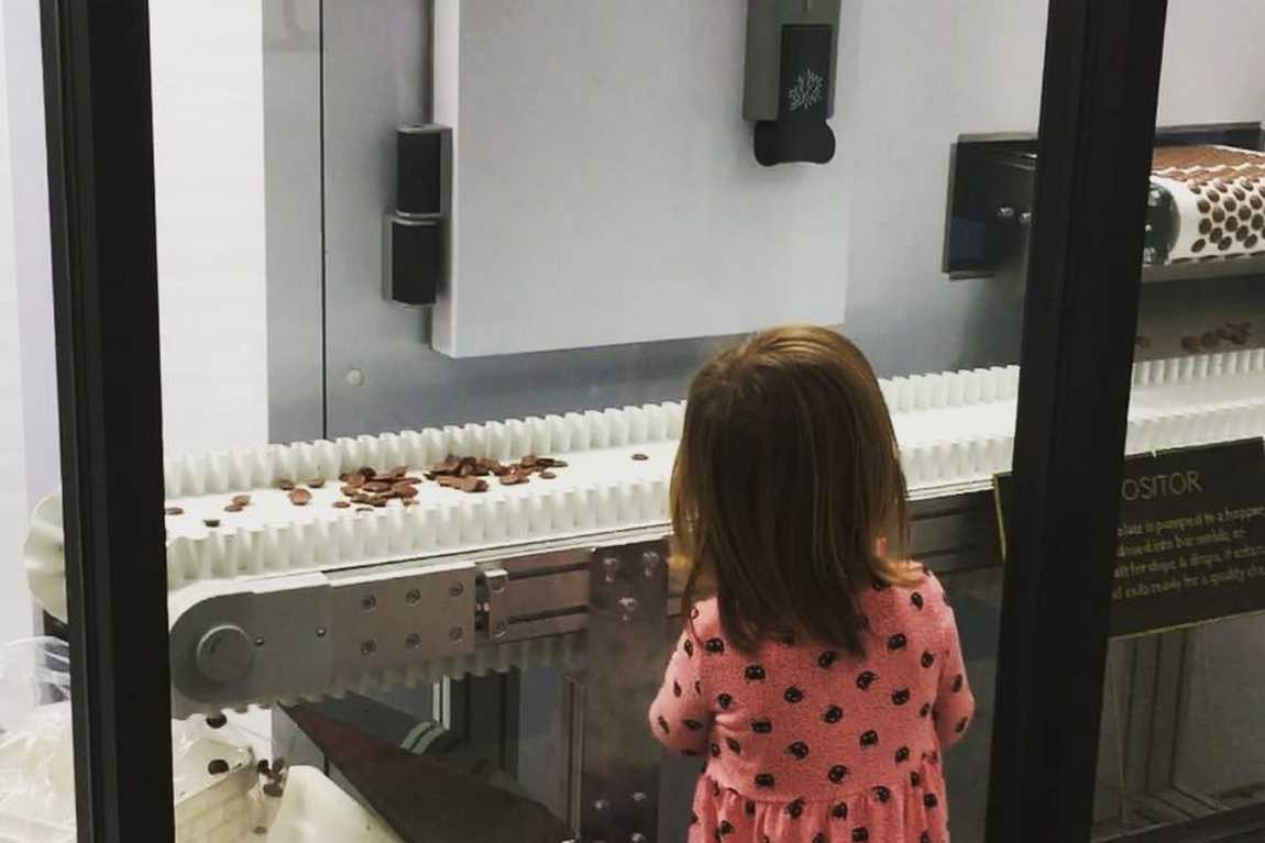 french broad chocolate factory & cafe photo 2