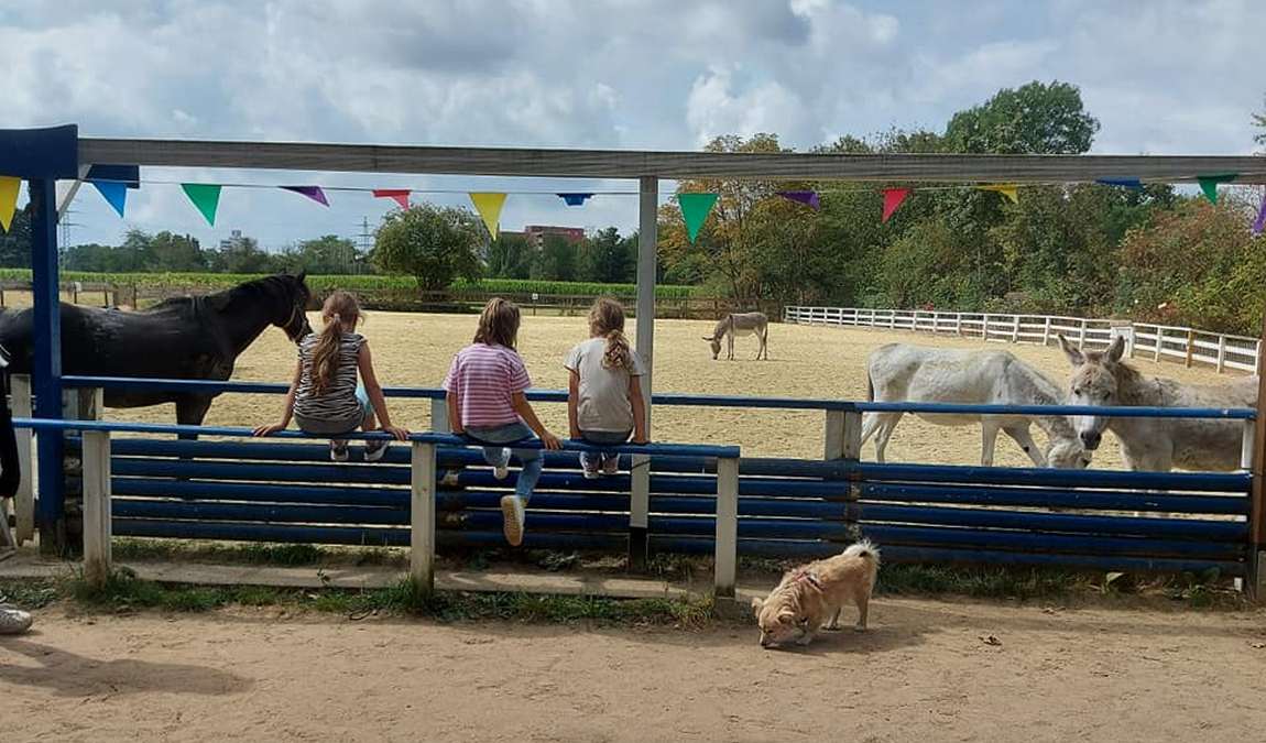 noah's ark meerbusch photo 1