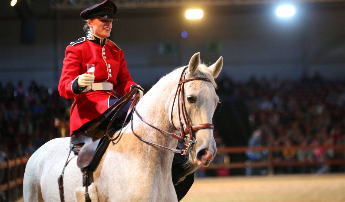 westphalian horse museum photo 5