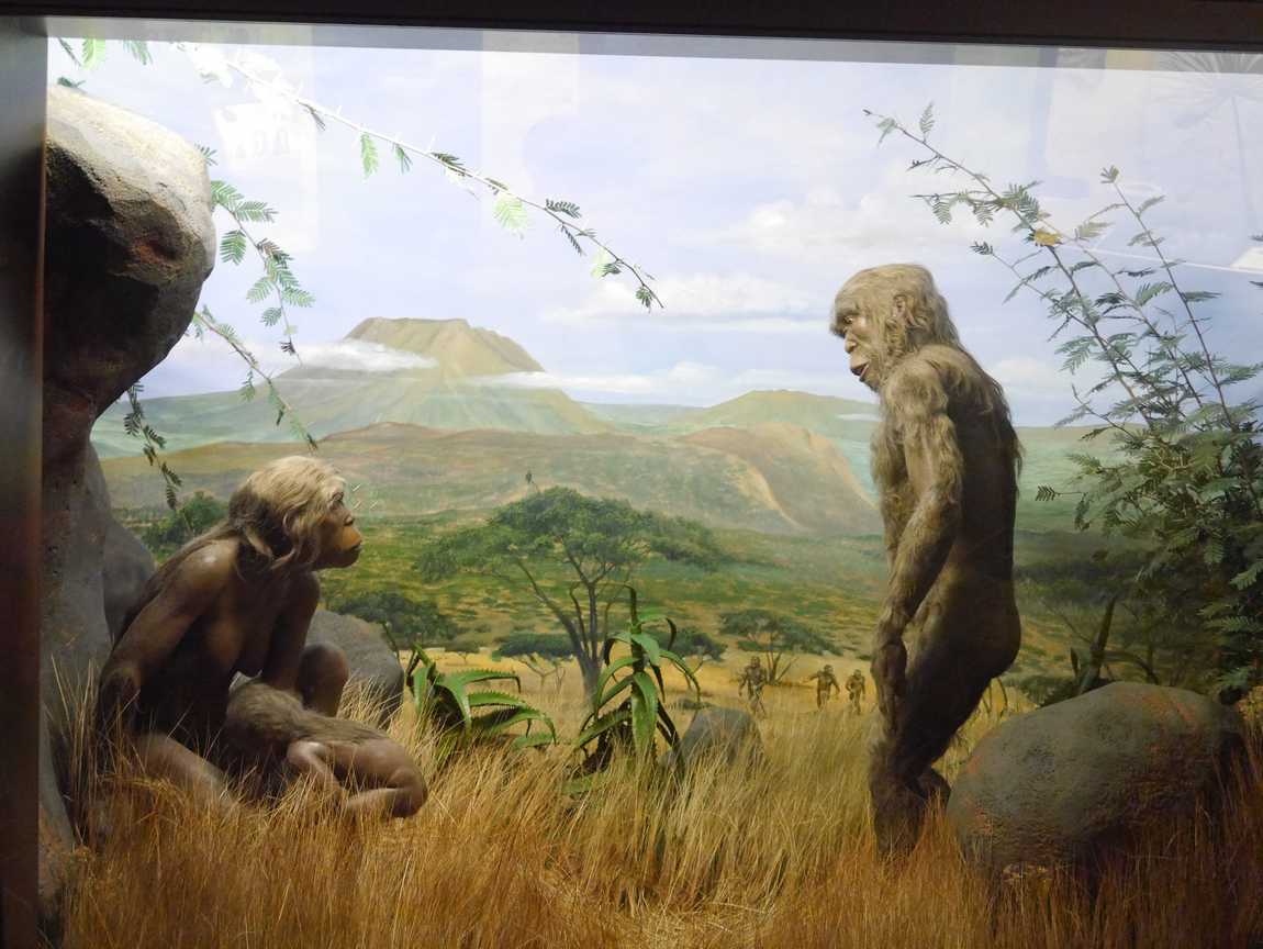 museum of man and nature photo 2