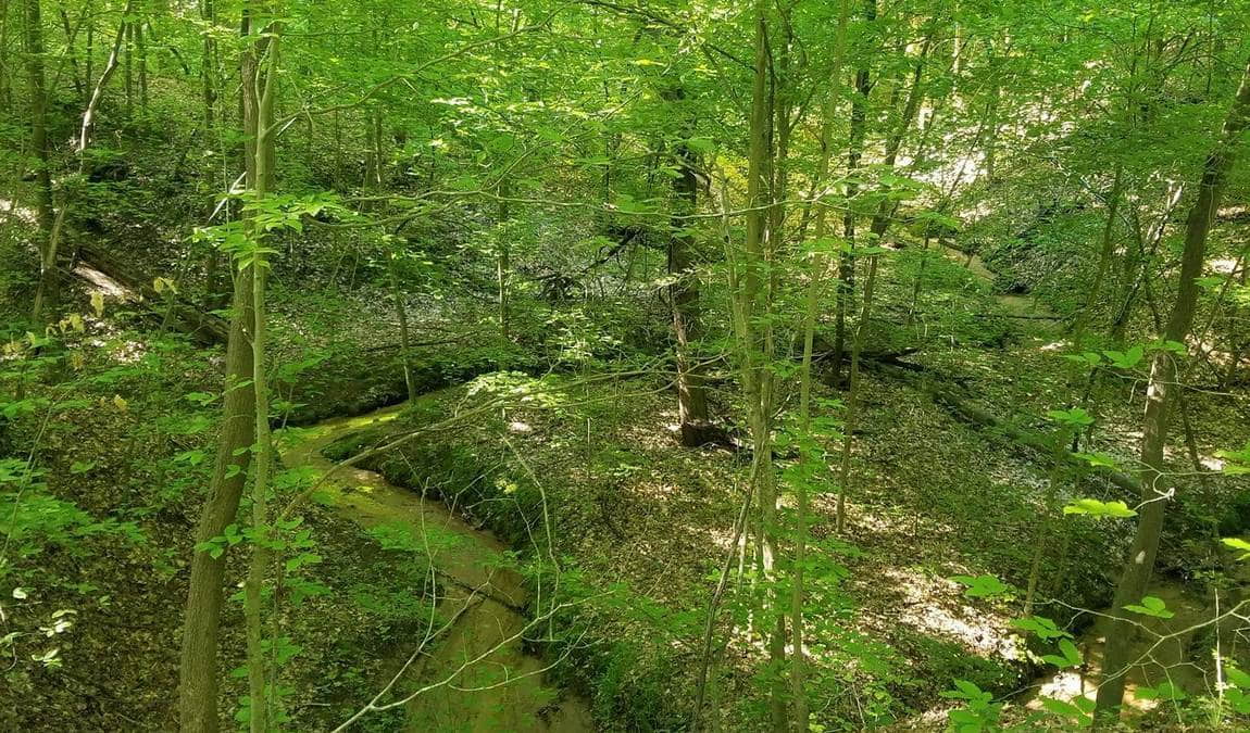 latta plantation nature center & preserve photo 2