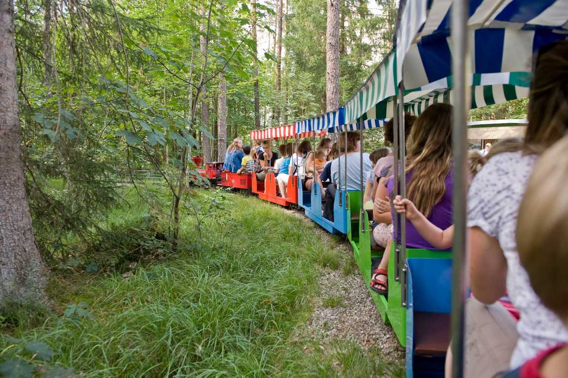 family leisure park märchenwald  photo 4