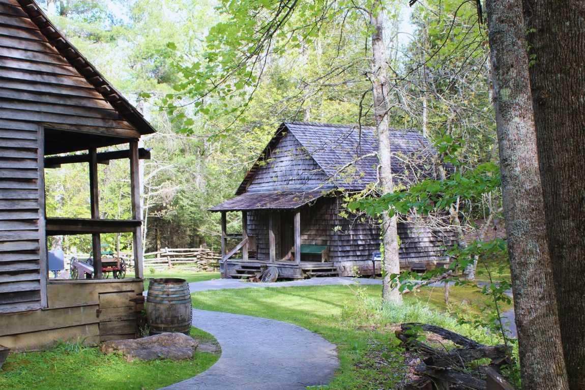 cradle of forestry photo 7