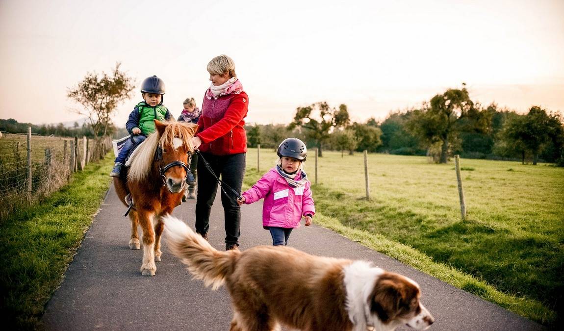 burgzwergen farm photo 6