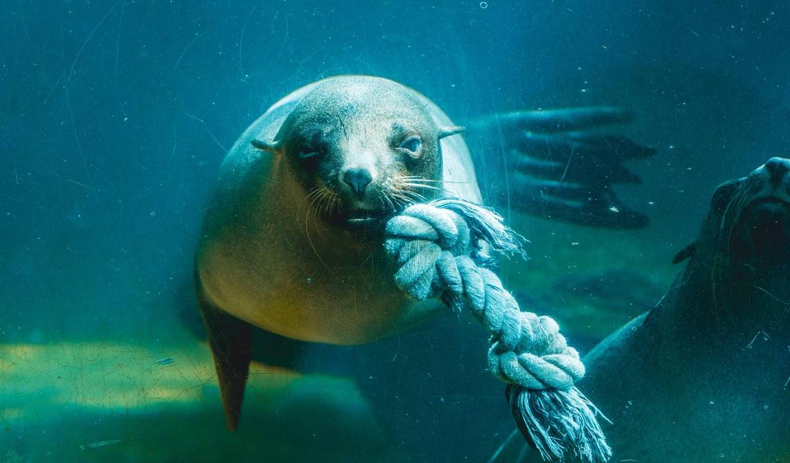 bremerhaven zoo photo 5