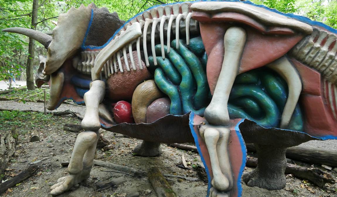 dinopark vyskov photo 2