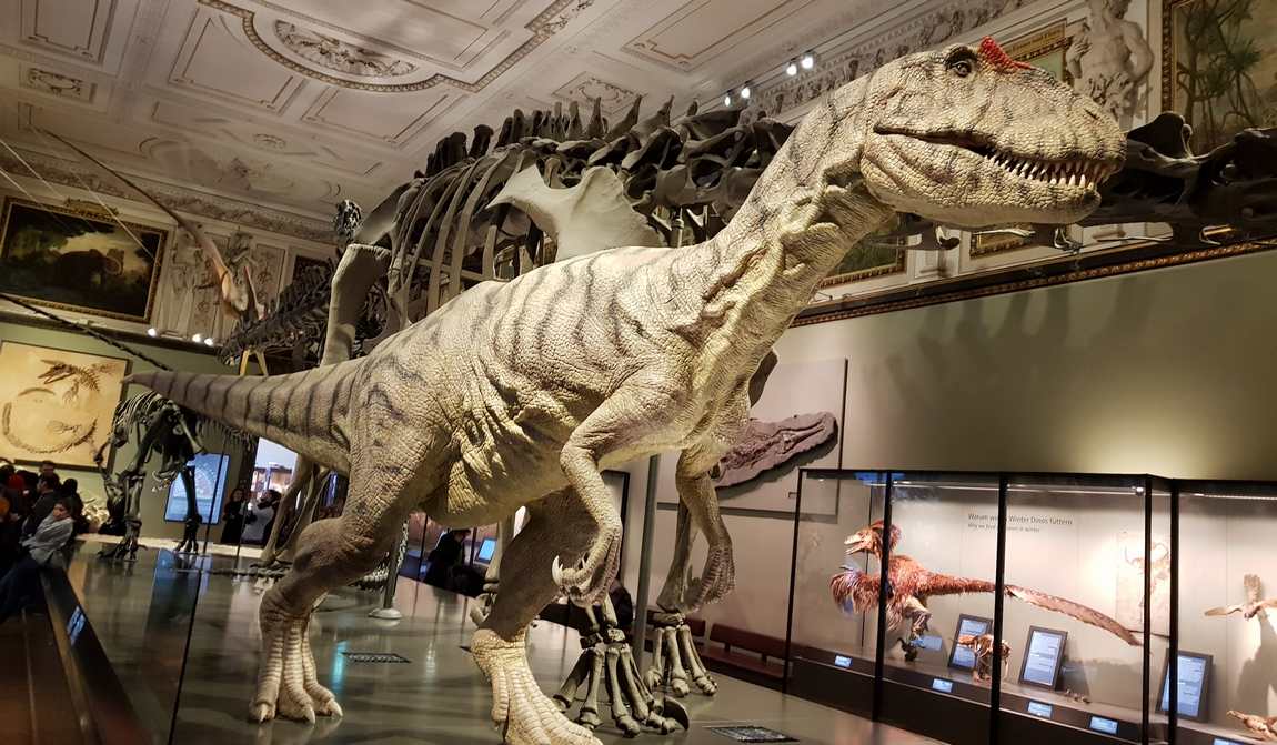 natural history museum vienna photo 3