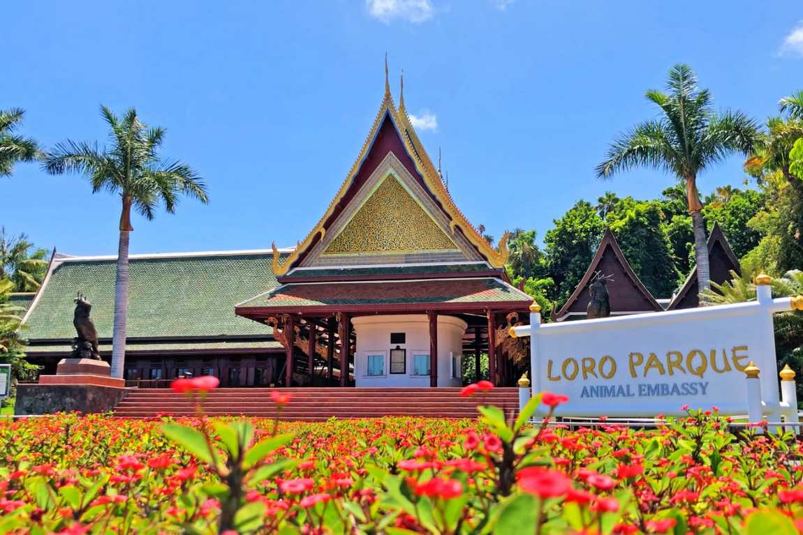 loro park photo 1