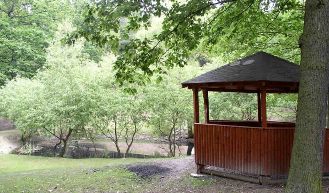 obora holedna photo 5