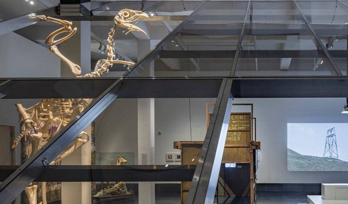  deutsches hygiene-museum photo 2