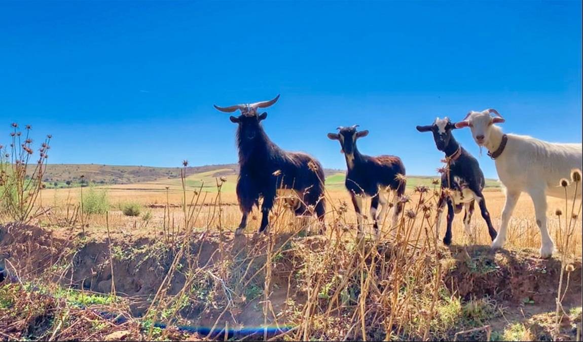 la granja escuela el botero photo 2