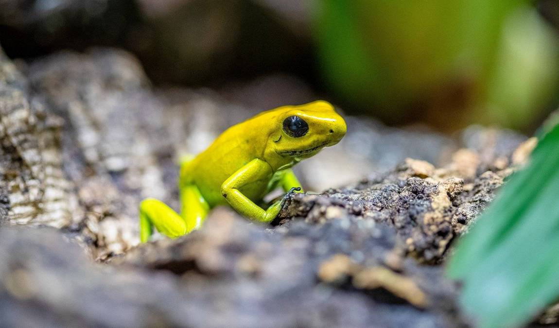 chemnitz zoo photo 3