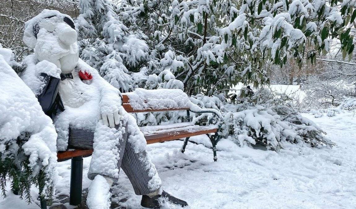 wallanlagen park photo 5