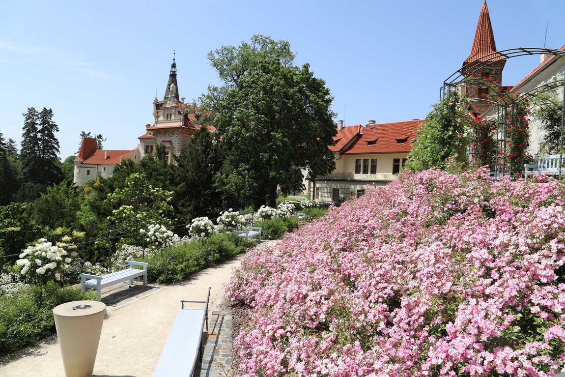 pruhonice castle photo 7