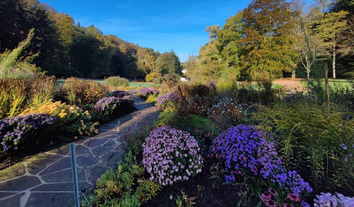 franco-german garden photo 2