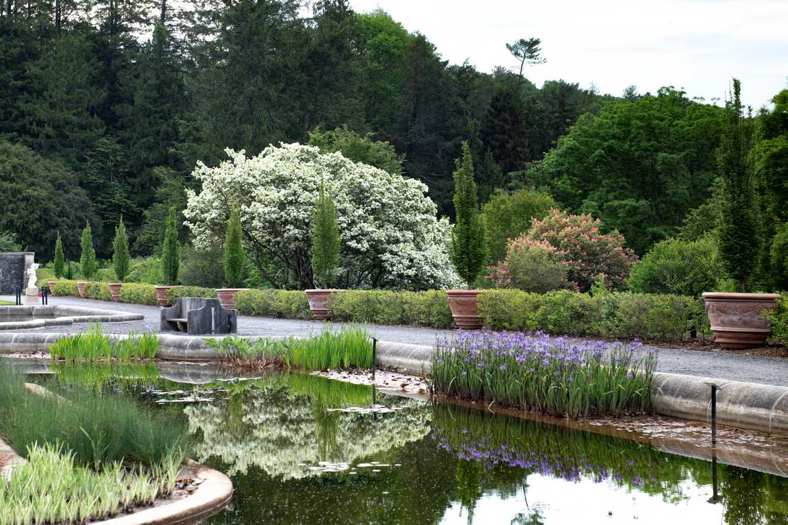 biltmore estate photo 8