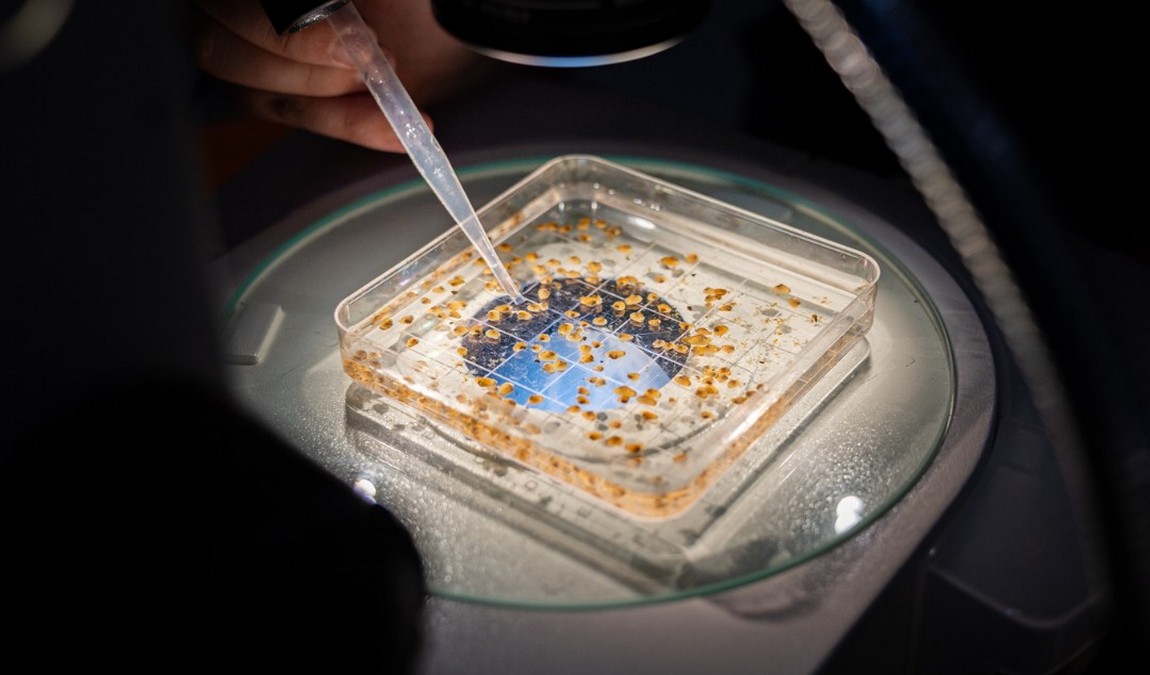 greensboro science center photo 2