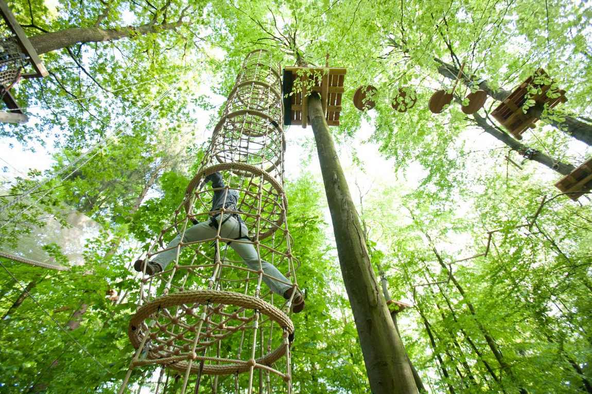 kletterwald hamburg adventure park photo 2