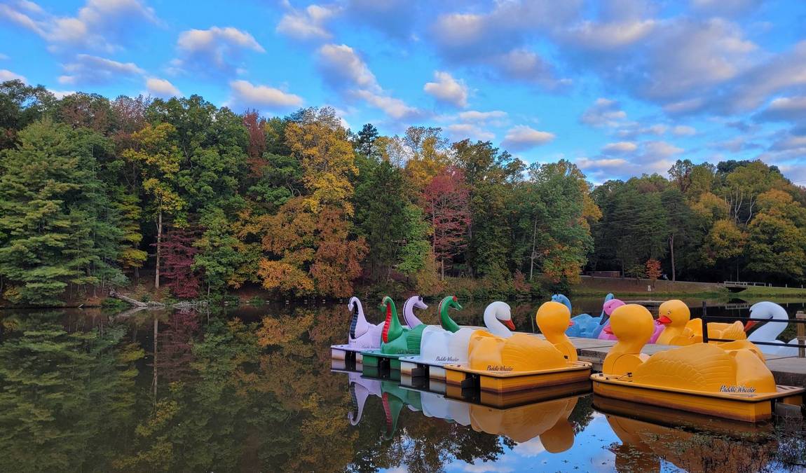 country park photo 3