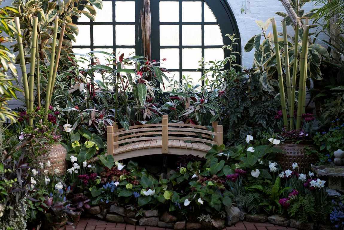 biltmore estate photo 9