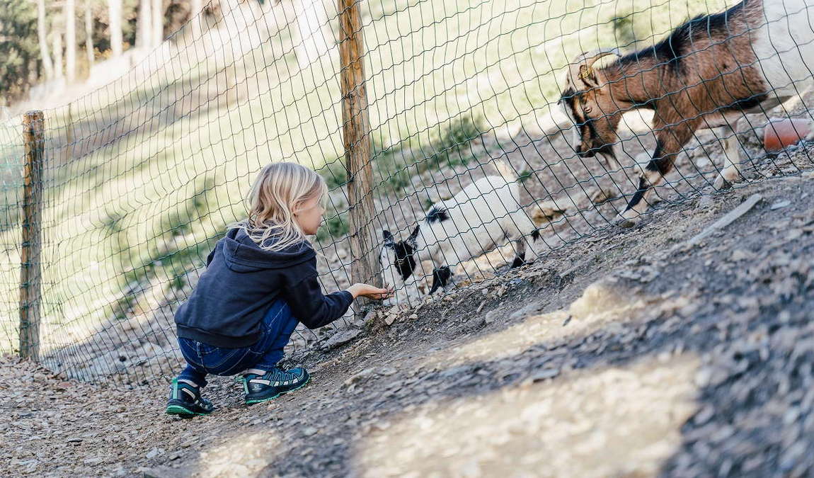 waldpark hochreiter photo 4
