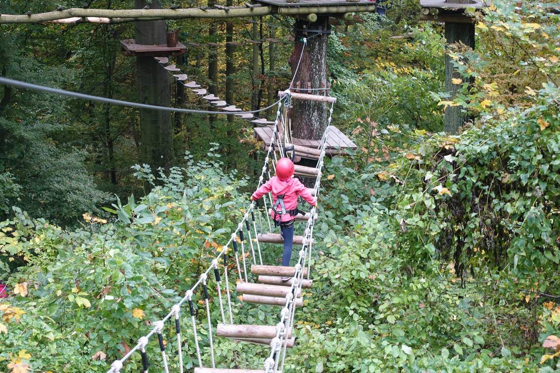 forest rope park kahlenberg photo 1