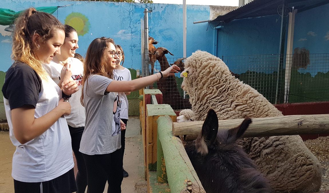 farm school la buhardilla photo 5