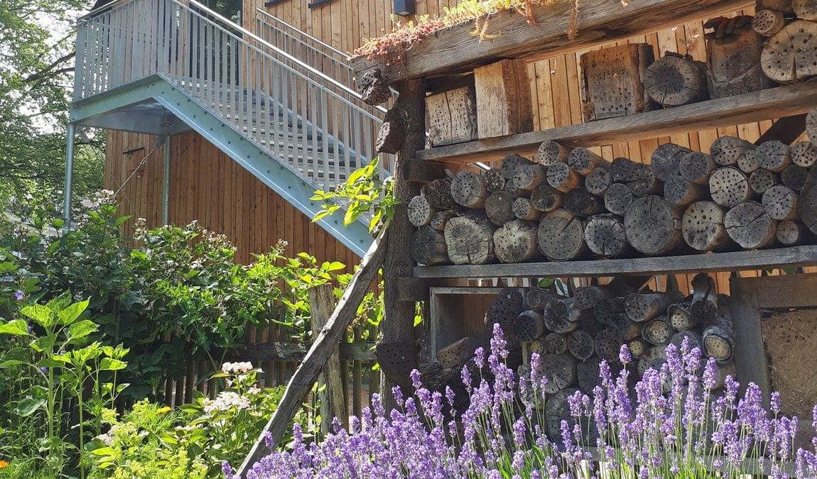 wildpark venusberg photo 5