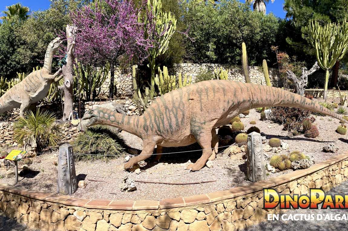 cactus d'algar and dinopark photo 3