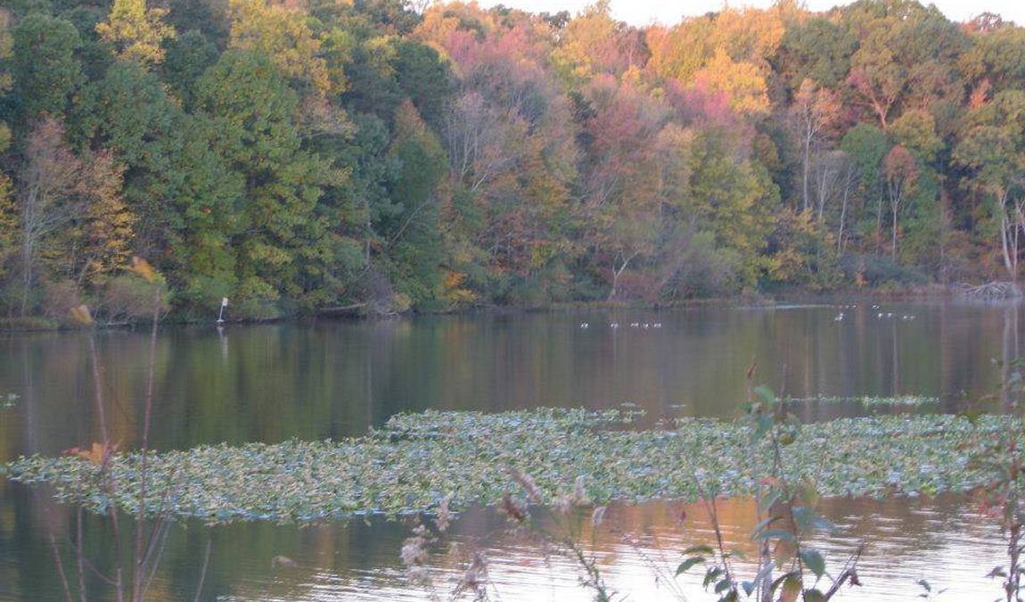 lake brandt marina photo 1