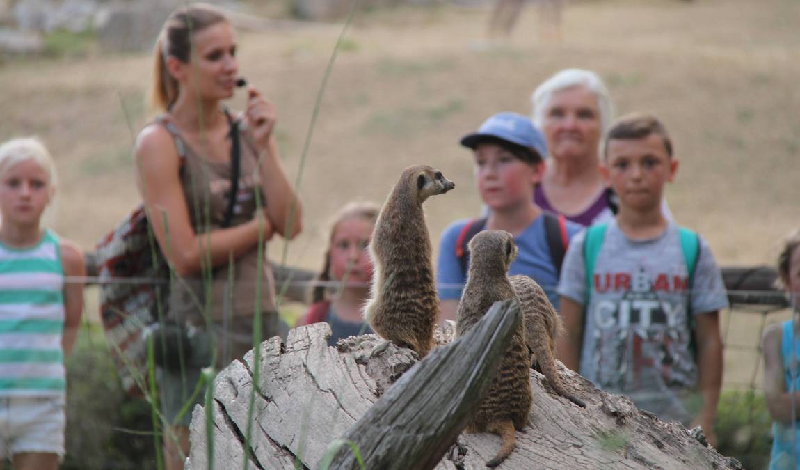 zoo dvur kralove photo 9