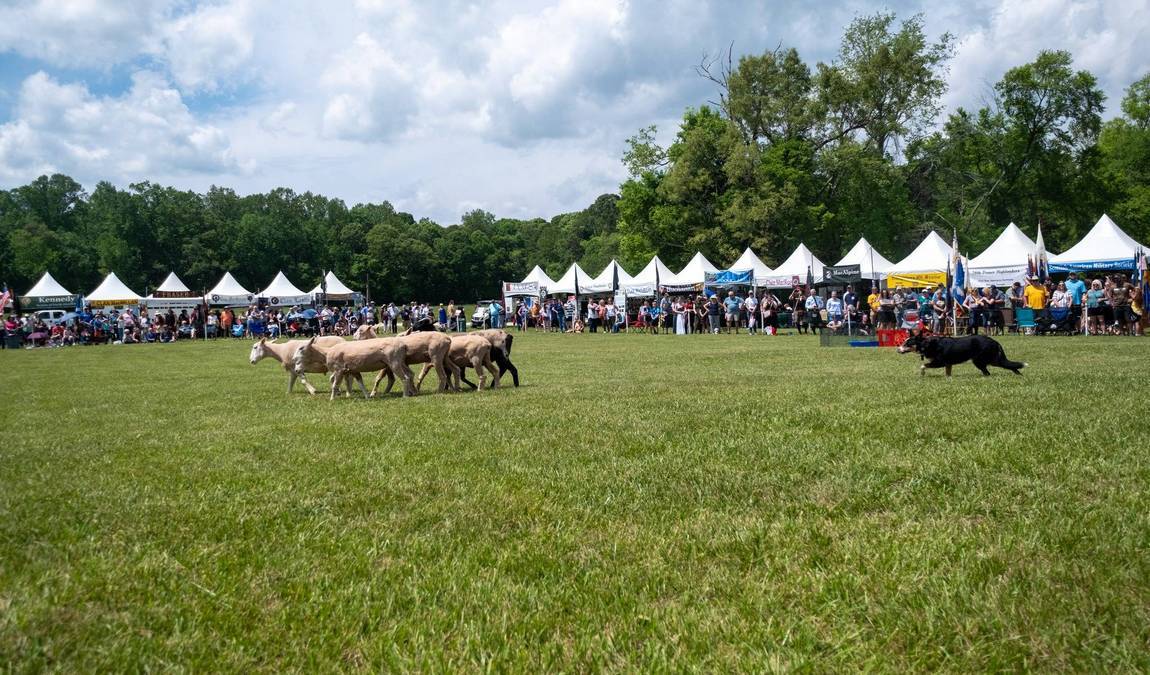 rural hill nature preserve photo 5