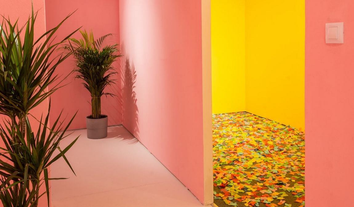 the pop up praha photo 6