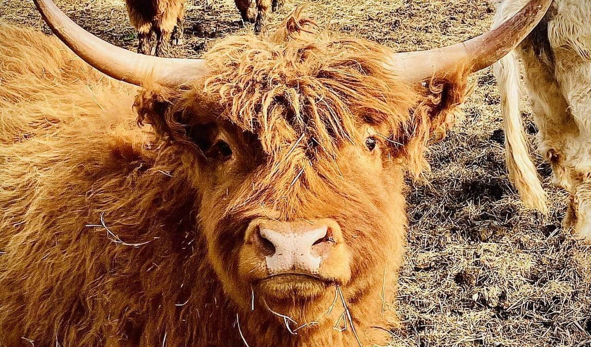 rural hill nature preserve photo 4