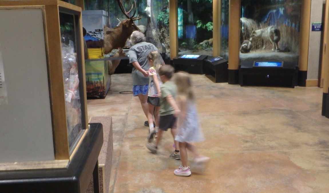 the walter l. stasavich science & nature center photo 4