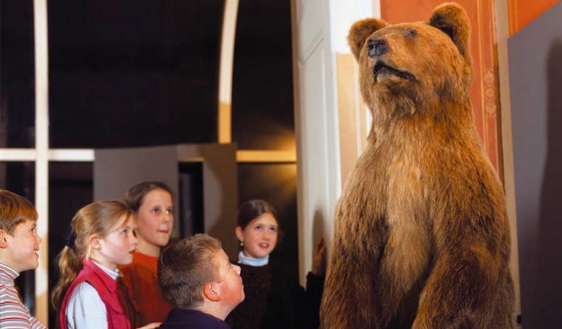 natural history museum of eastern bavaria photo 1