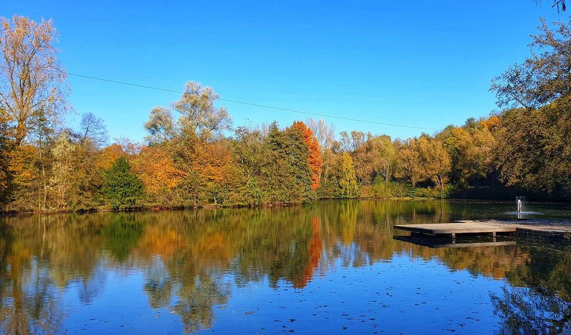 revierpark wischlingen photo 4