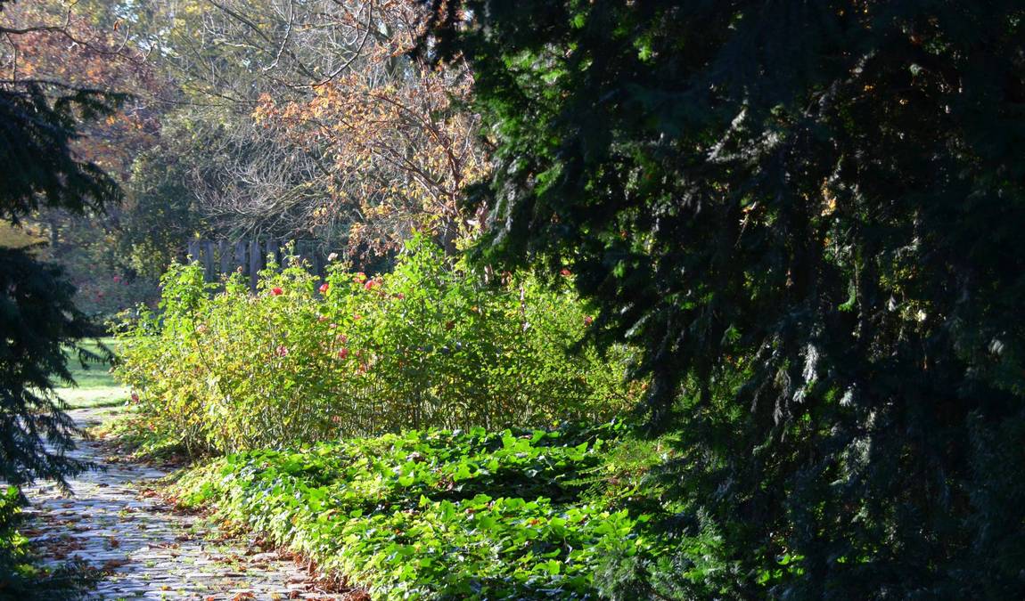 herzogenried park photo 2