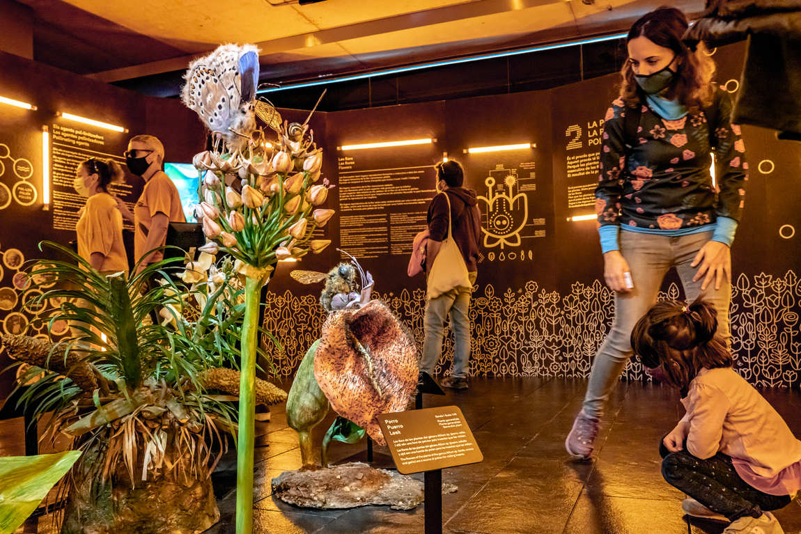 museum of natural sciences of barcelona blau photo 3