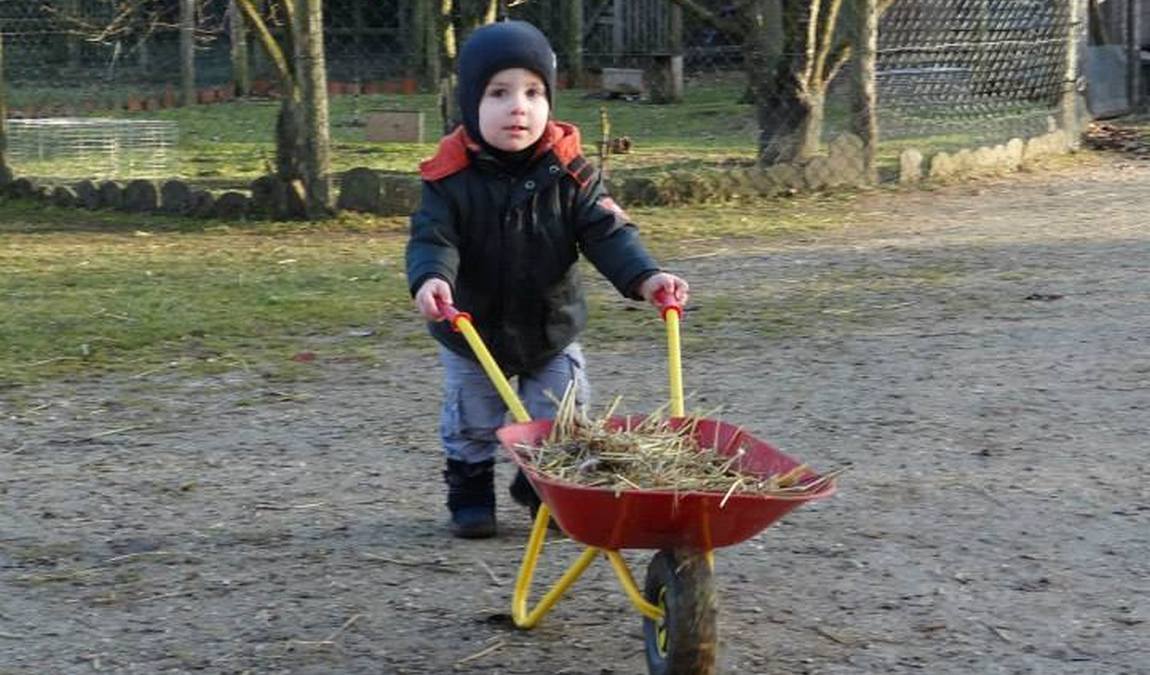 child and youth farm neuaubing photo 5