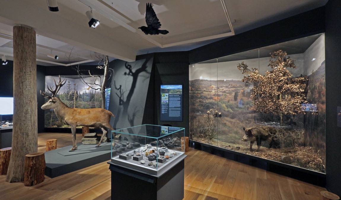 karlovy vary museum photo 7