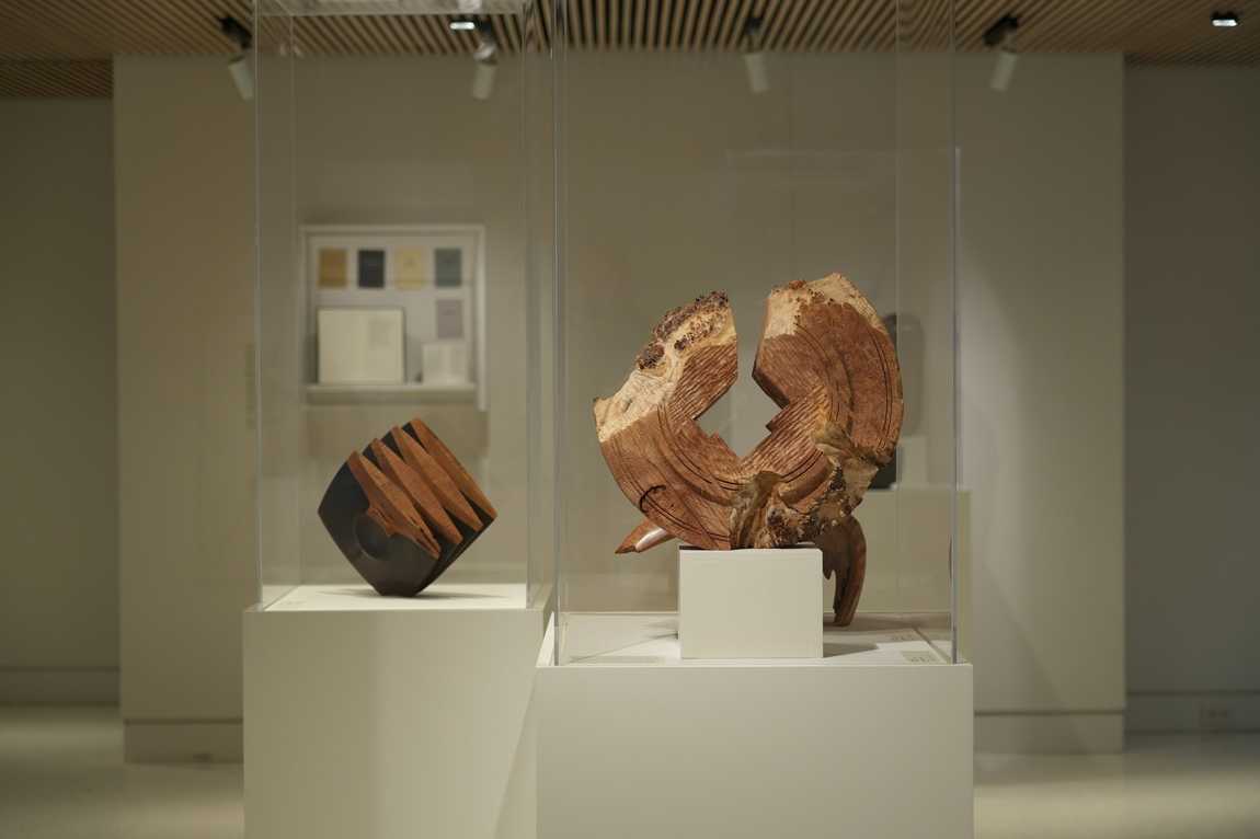  asheville art museum photo 4