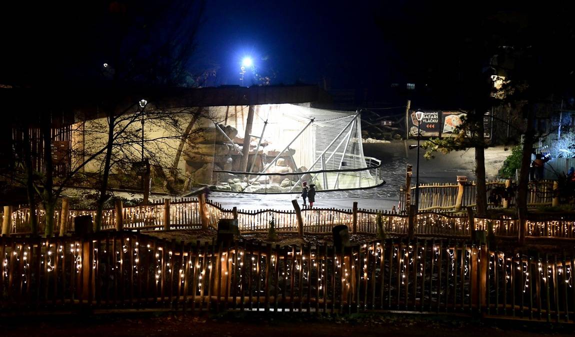 zoo olomouc photo 10