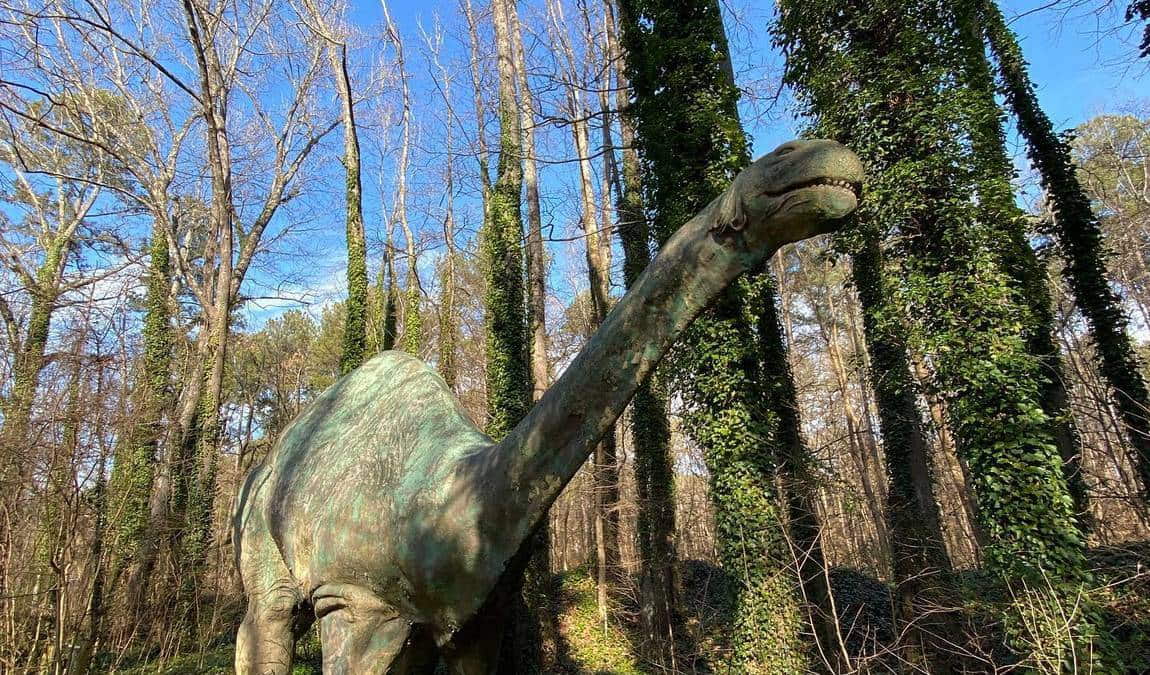 museum of life and science photo 1