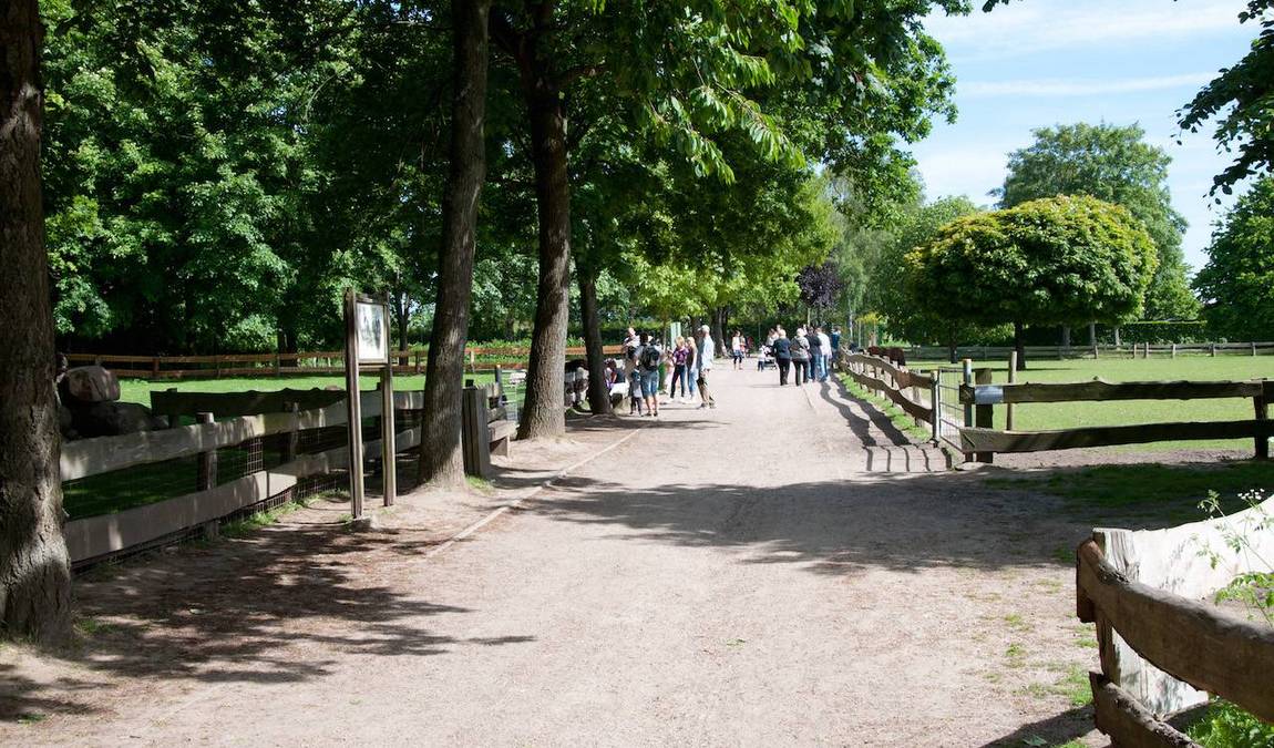 wildpark schwentinental photo 5