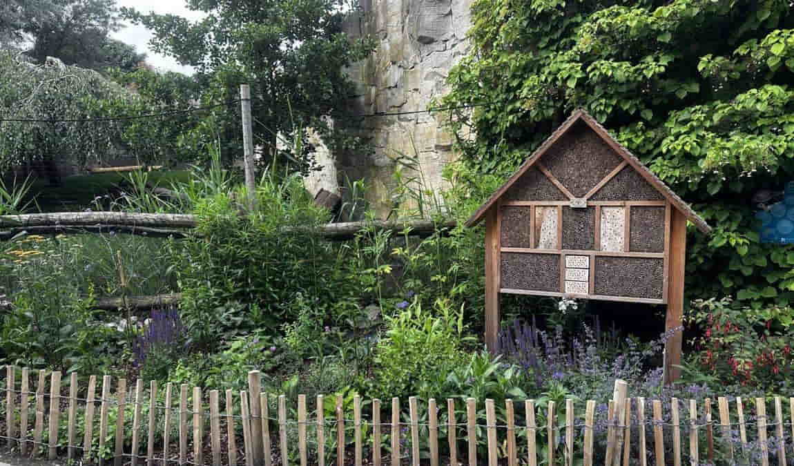 bremerhaven zoo photo 9