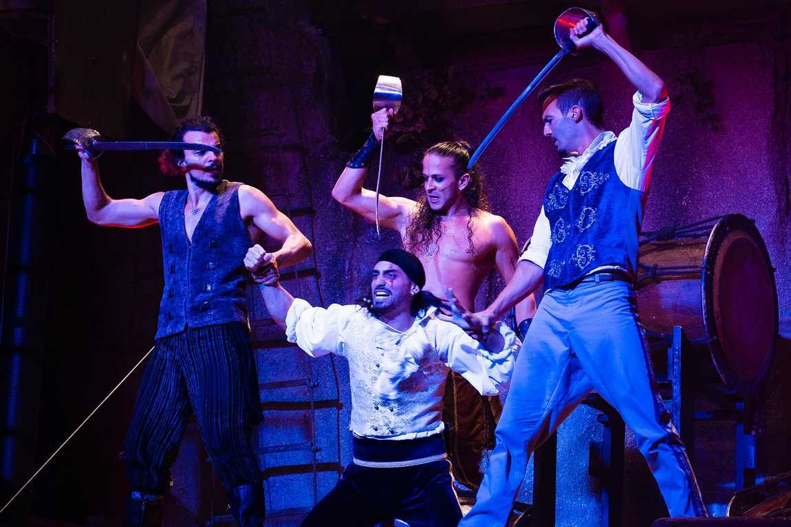 pirates adventure show photo 1