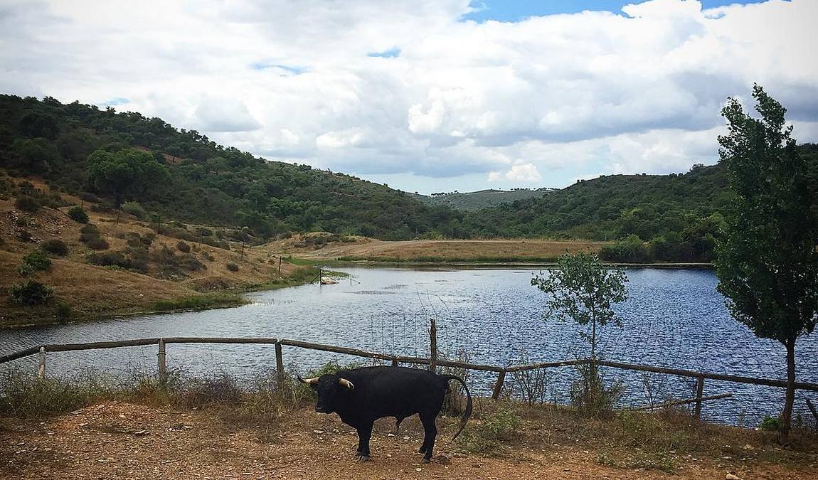 les visites du campo bravo photo 7