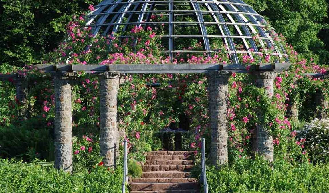 rosenhohe park photo 1