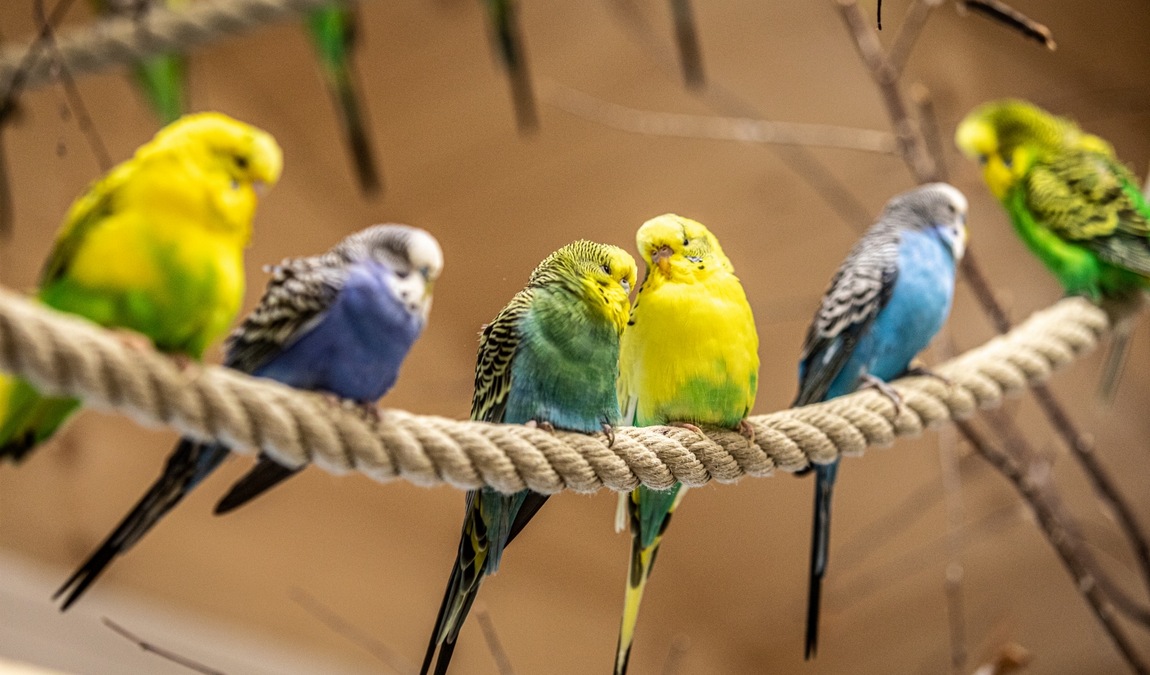 gut aiderbichl iffeldorf farm photo 6